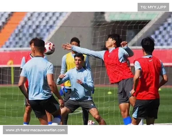 申花队下午集结近半队员缺席备战训练面临挑战 申花队下午集结近半队员缺席备战训练面临挑战